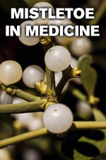 Mistletoe in Medicine, 2016, Mark Hancock MD MPH